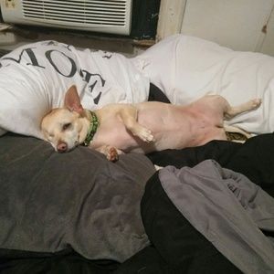 Meet your Posher, Patricia